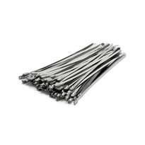 Stainless Steel Cable Ties 300mm x 4.8mm - Pack of 100