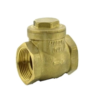 Brass Threaded Swing Check Valve - 20mm (Box Quantity - 20)