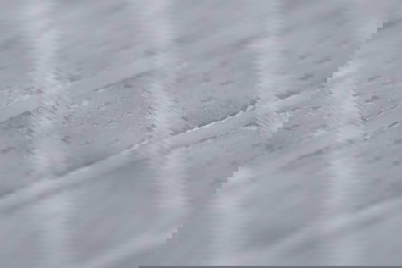 vapour control layer
