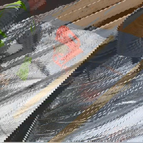 Foil insulation roll