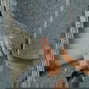 Pavatextil P