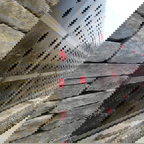 SureCav 50