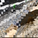 Type W Caviweep-Vent