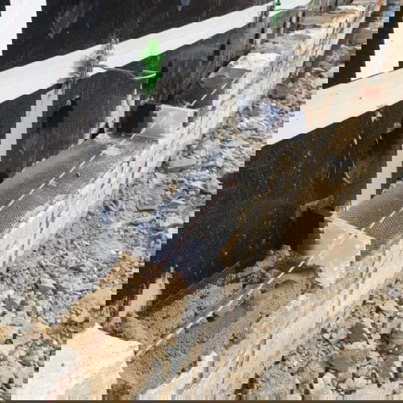 Type W Caviweep-Vent